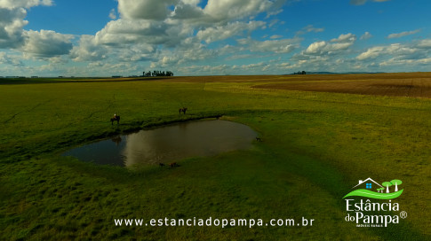 DOS EÓLICOS VIRA P FAZENDA_Moment.00_02_37_06.Quadro192_fe1c8e51349f1b9af34b3deb2c889ed5d6792b08.jpg